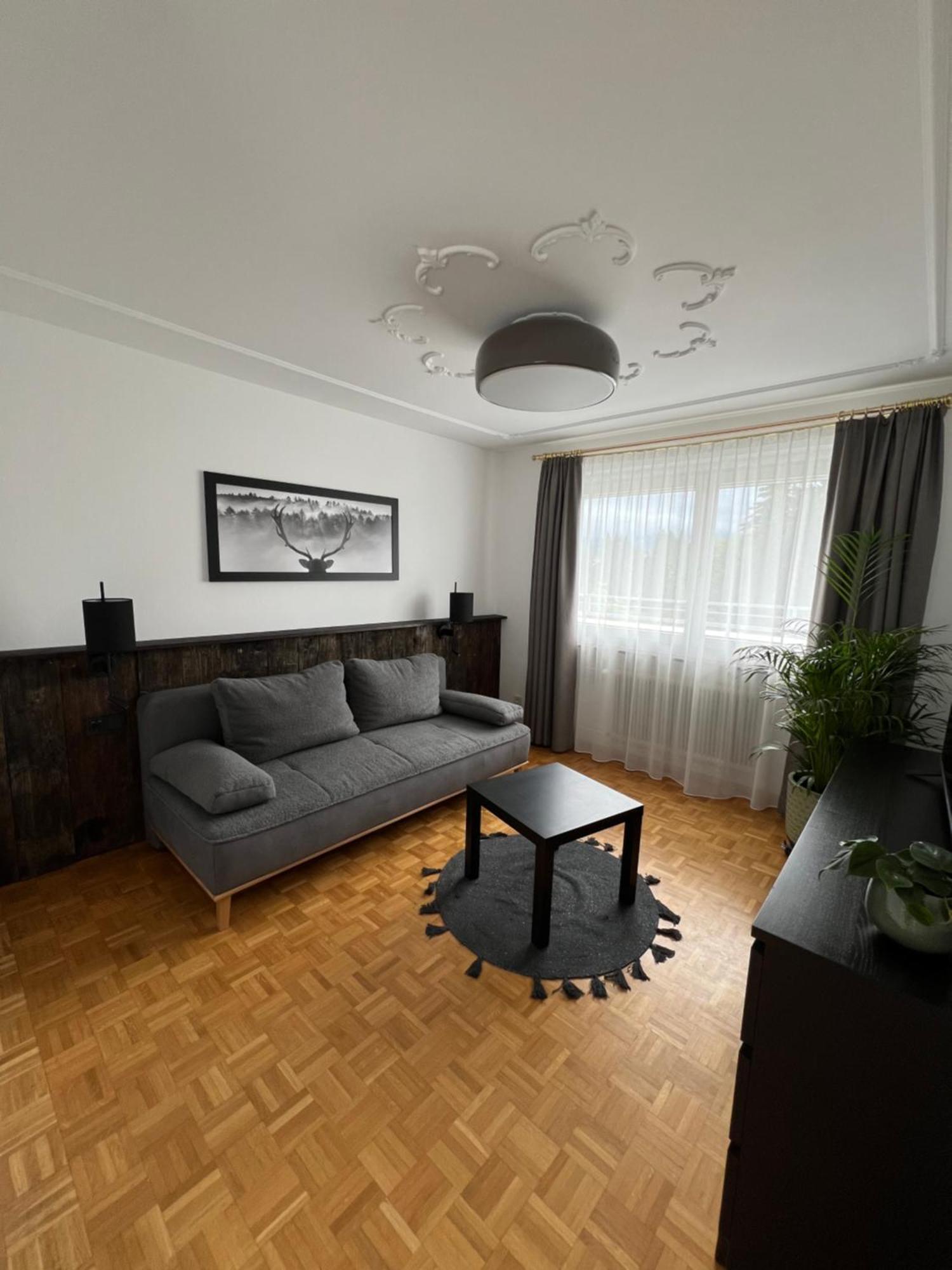 Ferienwohnung Ueber Den Daechern Von Брегенц Екстериор снимка